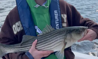 Ocean City Report Video 2