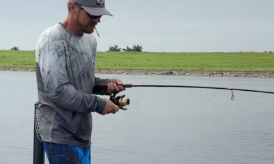 South Bay Report Video 0
