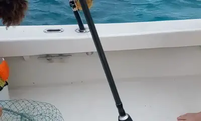 West Bay Report Video 0