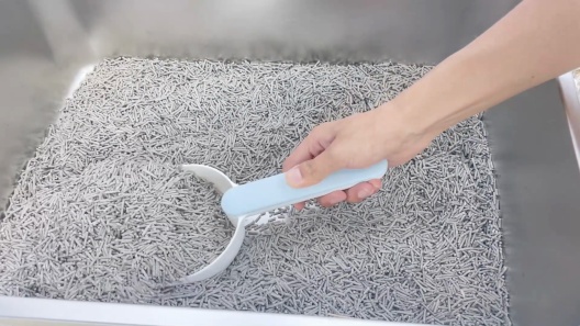 Ptlom Paw Print High Sided Cat Litter Box
