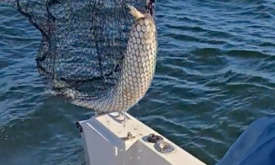 Absolutely awesome!!