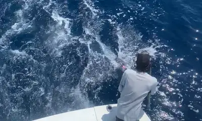 Boynton Beach Report Video 0