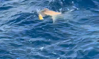Pompano Beach Report Video 1