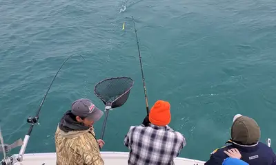 Waukegan Report Video 0