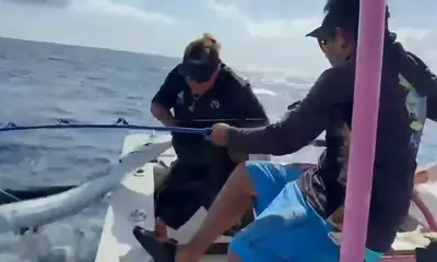 Playa Del Carmen Видео отчет 0