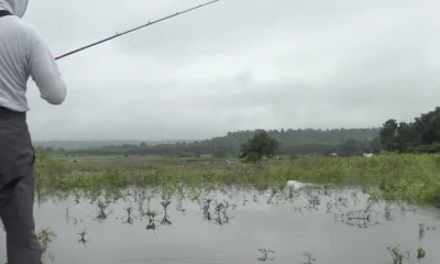 Bangkok Report Video 0