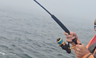 Narragansett Report Video 0