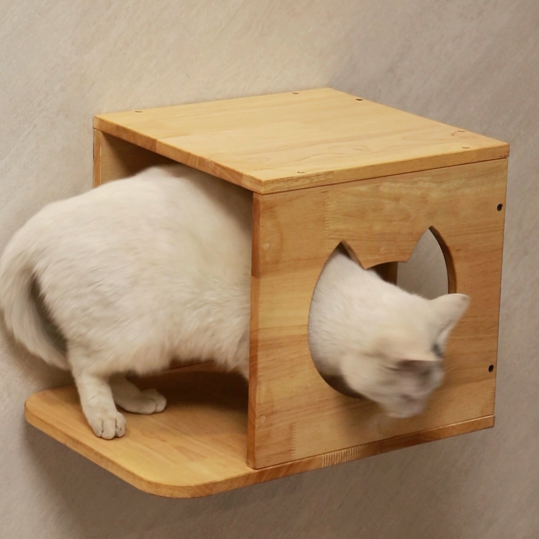 PETOMG Wall Mounted House Cat Wall Shelf, Wood Color, Medium