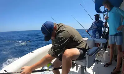 Cancún Report Video 0
