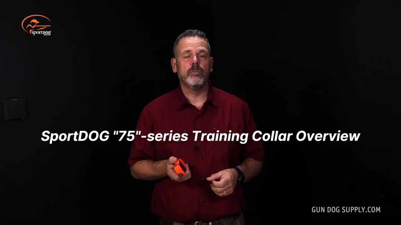 SportDOG Sport Trainer SD-875 Remote Training Collar Gun Dog Supply
