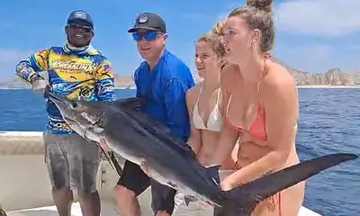 Cabo San Lucas Izveštaj Video 1