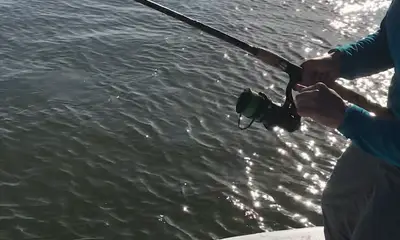 Venice Report Video 0