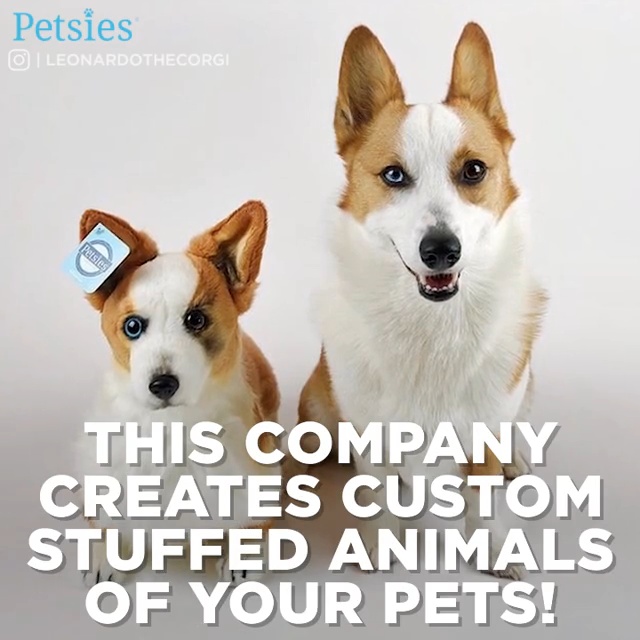 Custom Pet Plush Personalized Pet Gift Custom Dog Plush Custom Stuffed Animal Custom Stuffed Dog Dog lover gift Custom Crochet Dog