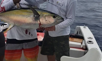 Puerto Vallarta Report Video 0