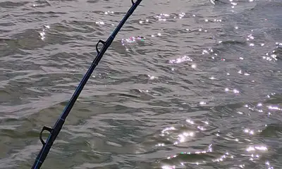Wanchese Report Video 0