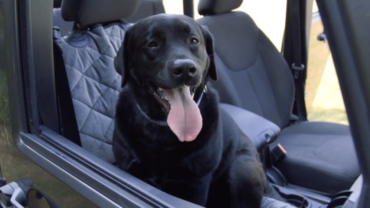 PLUSH PAWS PRODUCTS Quilted Velvet Waterproof Center Console