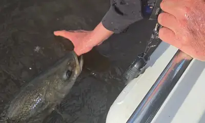 Wilmington Report Video 0