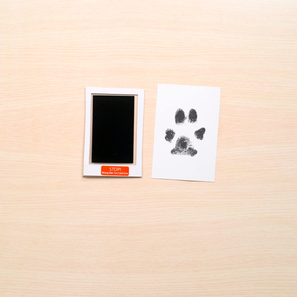 Free Shipping New Pearhead Our Pawprints Desktop Frame 