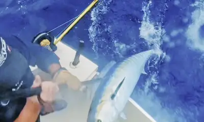 Sandys Видео отчет 0