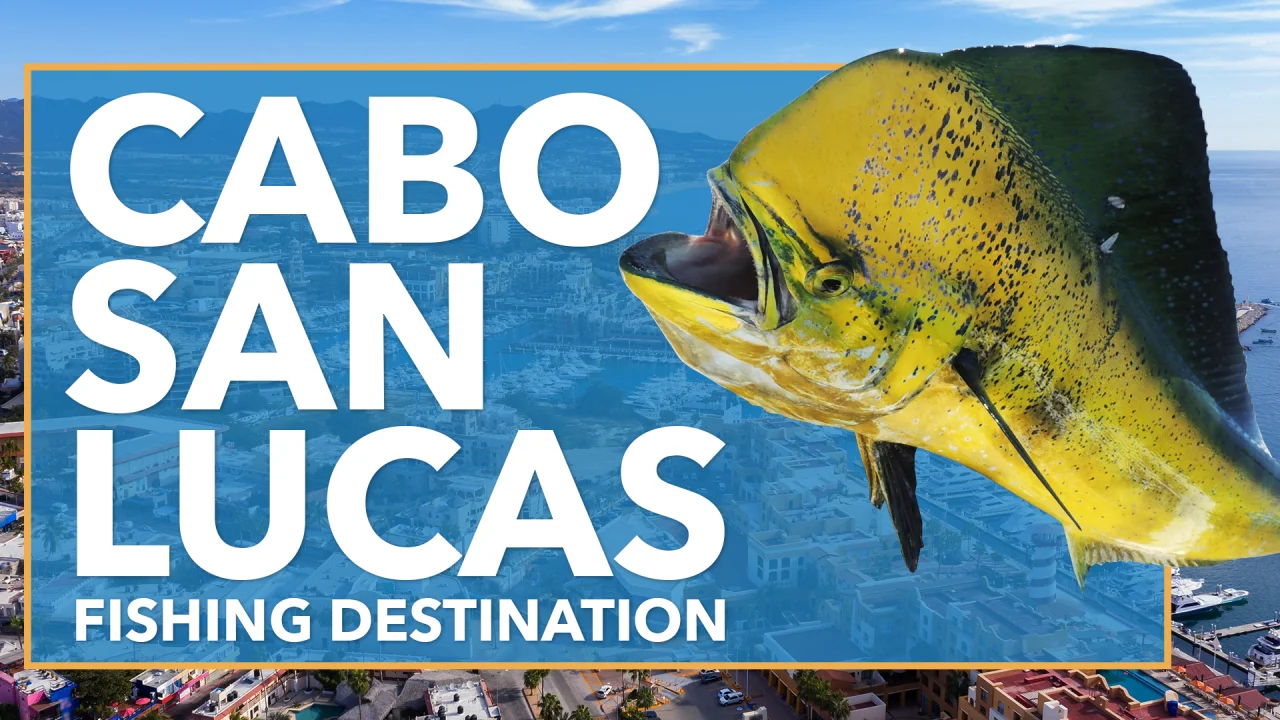 Cabo San Lucas Fishing: The Complete Guide (Updated 2022)