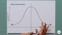 Science-Based Productivity Hacks: Overcome Creative Blocks