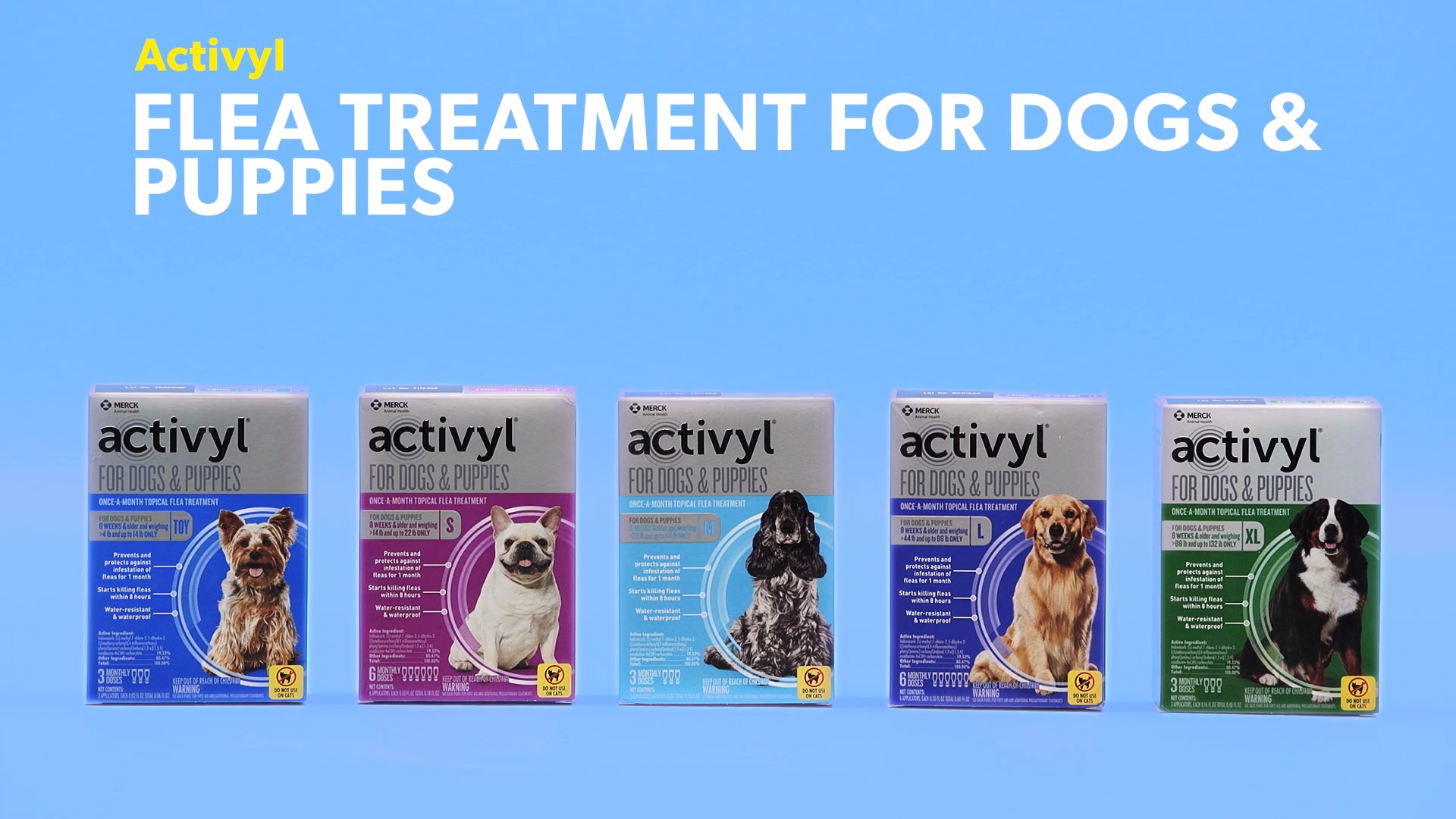 activyl for dogs