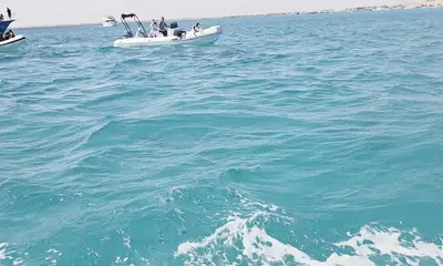 Great and entertaining captain, immaculate boat, clean and comfortable, powerful motors.