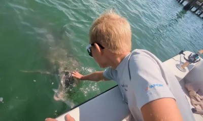 Bay Pines Report Video 0