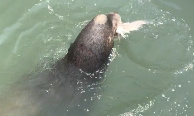 BEST fishing excursion EVER! 