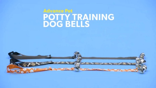 Play Video: Learn More About Advance Pet From Our Team of Experts