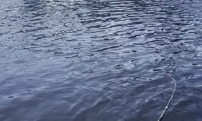 Reporte de North Carolina Video 0