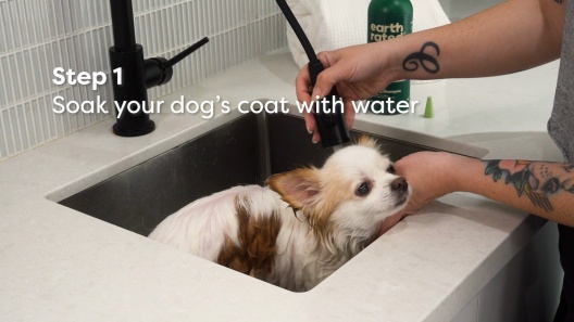 Sign In/Login - CJdropshipping