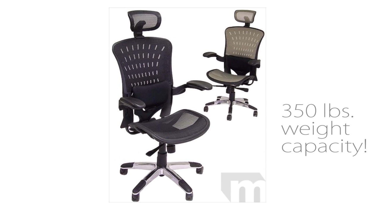 350 lbs. Capacity Mesh Office Chair
