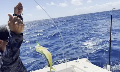 San Juan Report Video 0