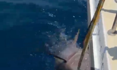 July fishing trip