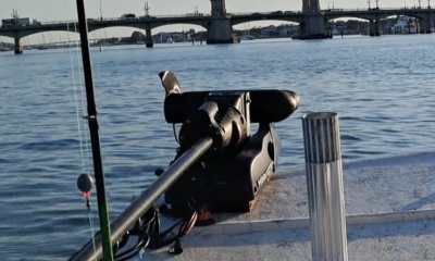 Greenhorn caught some fish