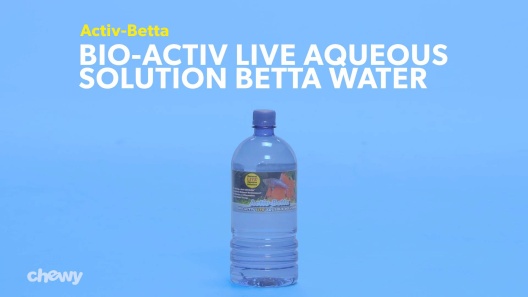 Play Video: Learn More About Activ-Betta From Our Team of Experts