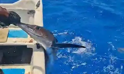 Playa Del Carmen Видео отчет 0
