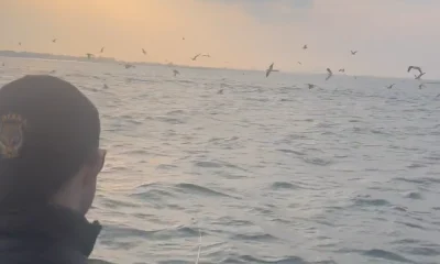 New York City Report Video 0