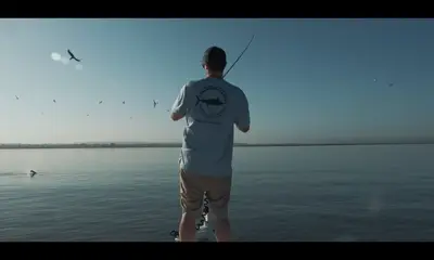 San Diego Report Video 0