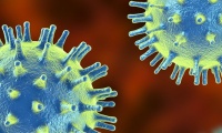 The Impact of Viruses