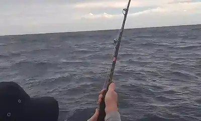 San Jose del Cabo Report Video 0