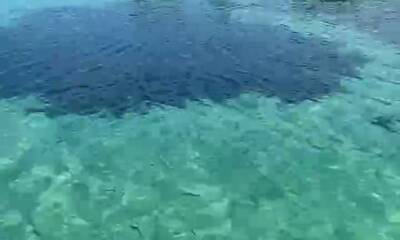 Malé Report Video 2