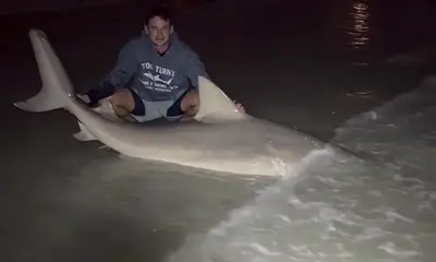 Madeira Beach Видео отчет 0