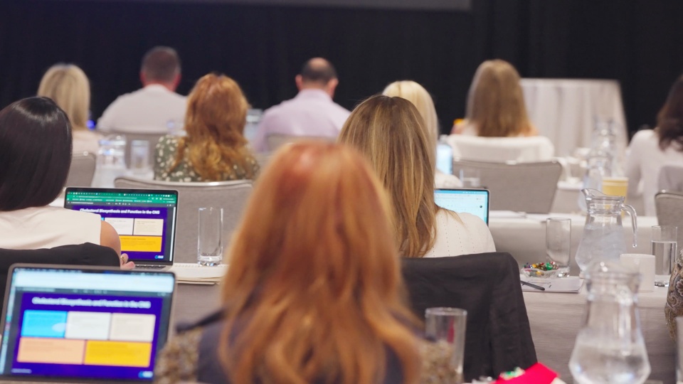 Mastermind 14 Highlights