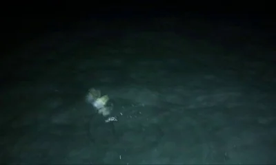 Miami Report Video 0