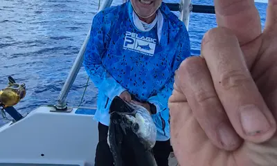 Moorea Report Video 0