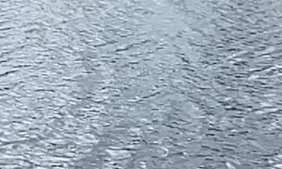 Puerto Rico Report Video 2