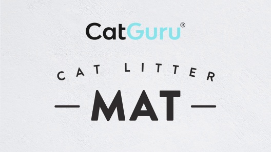 Play Video: Learn More About CatGuru From Our Team of Experts