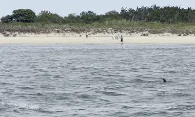 birthday boat ride!